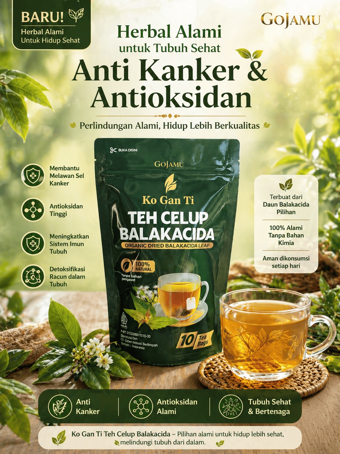 Pusat Toko Jual Balakacida Jamu Tradisional Harga Murah Kualitas Bagus Obat Sehat Anti Kanker Meningkatkan Imun Tubuh